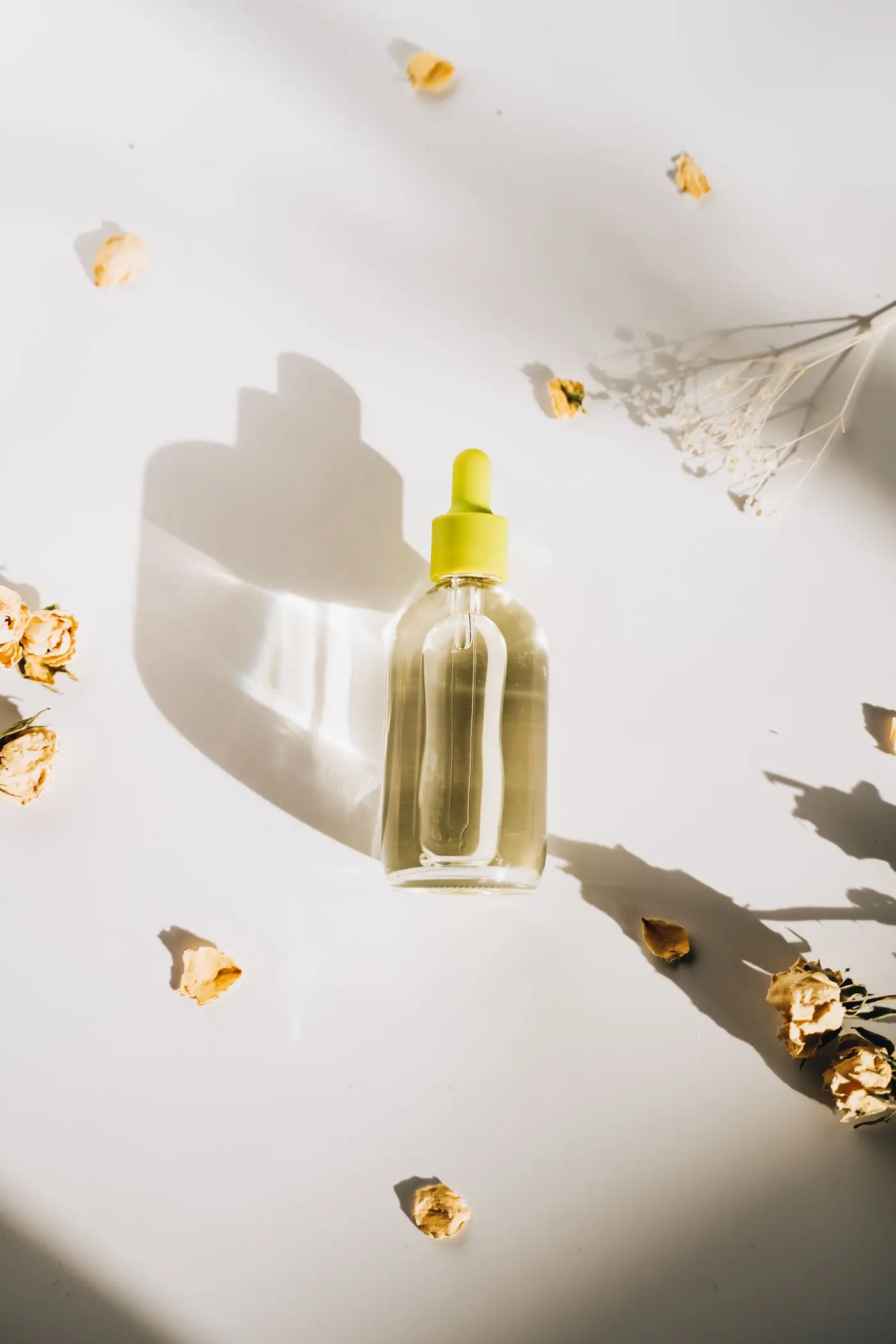 A glass serum bottle surrounded by dried petals and soft shadows